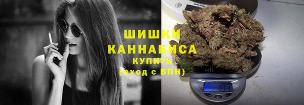 гашик Осинники