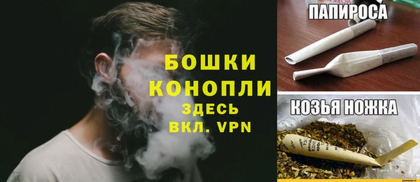гашик Осинники