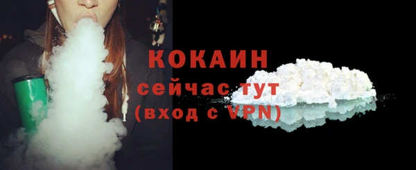 гашик Осинники