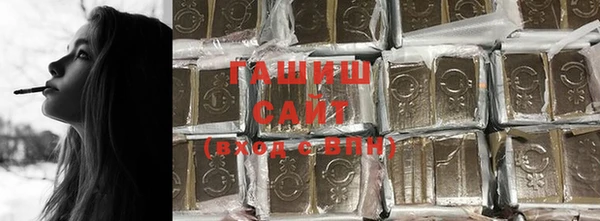 гашик Осинники