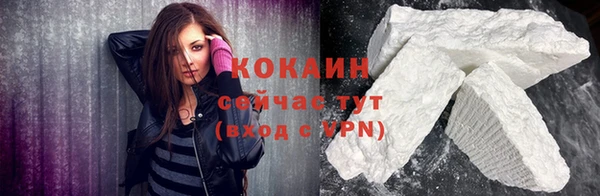 гашик Осинники