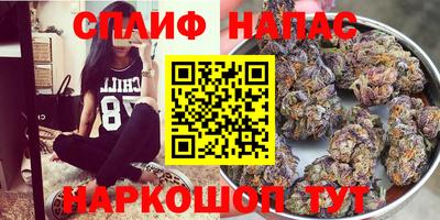 молекула духа Пугачёв
