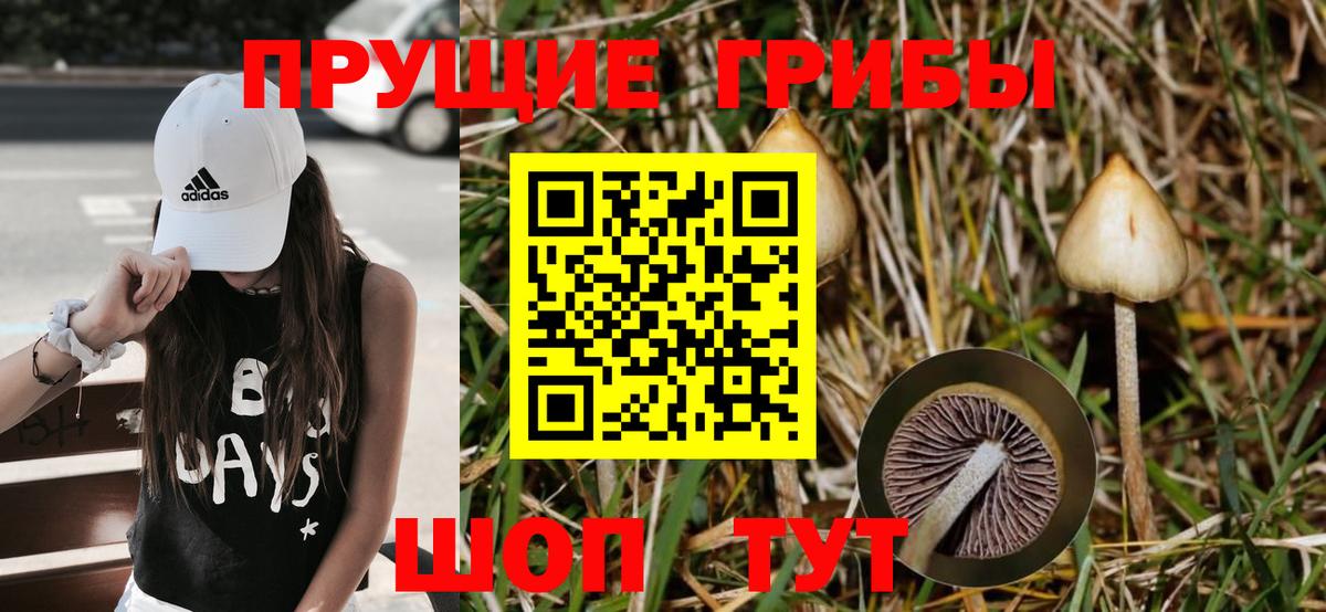 Новотроицк  Псилоцибиновые грибы Psilocybe  Вход с VPN  Псилоцибиновые грибы мухоморы 